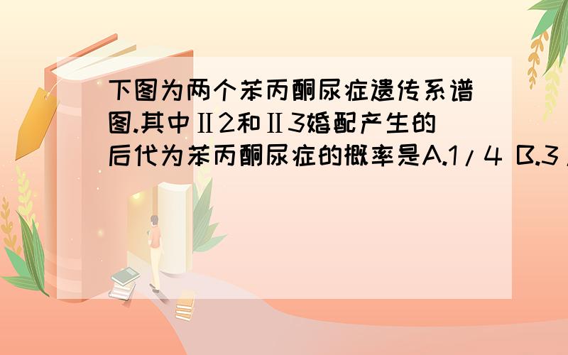 下图为两个苯丙酮尿症遗传系谱图.其中Ⅱ2和Ⅱ3婚配产生的后代为苯丙酮尿症的概率是A.1/4 B.3/4 C.1/6 D.1/9分析：分析图解,正常的亲代生出患病的子代,可断定苯丙酮尿症为隐性性状.由子代均