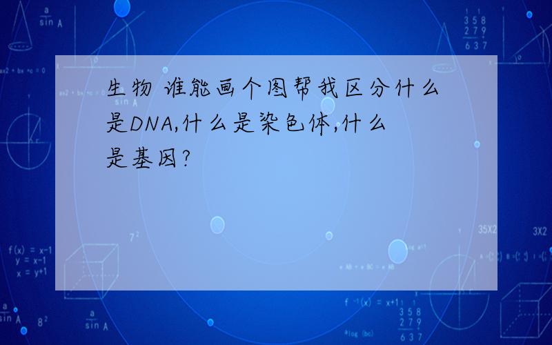 生物 谁能画个图帮我区分什么是DNA,什么是染色体,什么是基因?