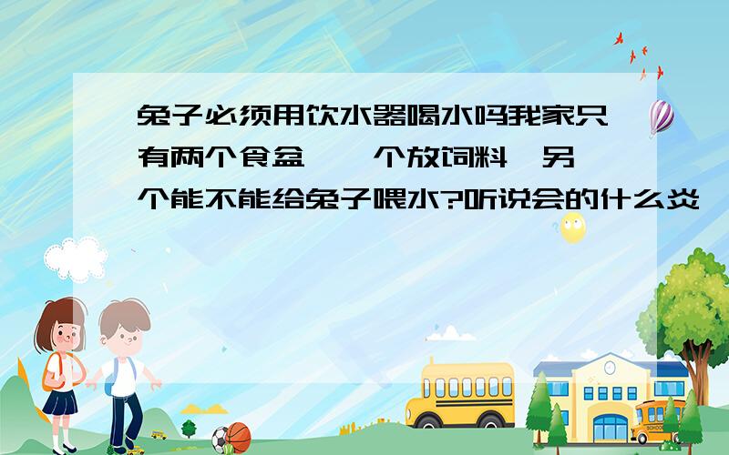 兔子必须用饮水器喝水吗我家只有两个食盆,一个放饲料,另一个能不能给兔子喂水?听说会的什么炎,