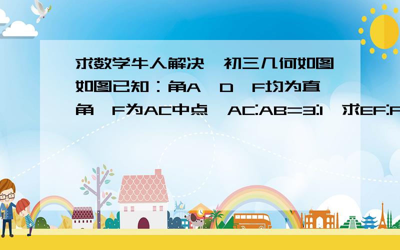 求数学牛人解决,初三几何如图如图已知：角A、D、F均为直角,F为AC中点,AC:AB=3:1,求EF:FG