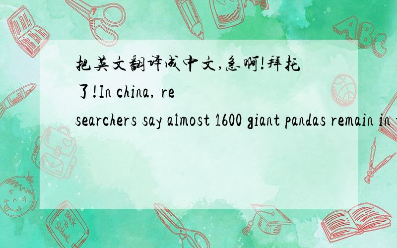 把英文翻译成中文,急啊!拜托了!In china, researchers say almost 1600 giant pandas remain in the wild.This is the result of a four-year project to count the pandas.The last count took place six years ago in 1998.It found 1100 pandas, or mor