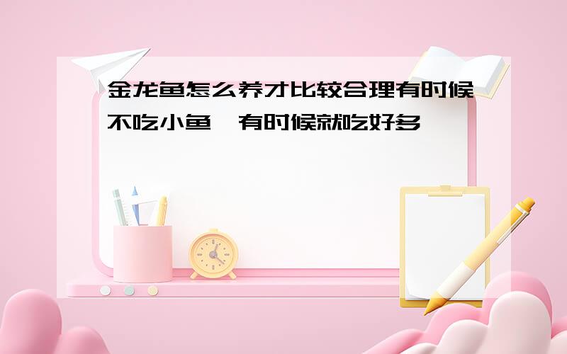 金龙鱼怎么养才比较合理有时候不吃小鱼,有时候就吃好多