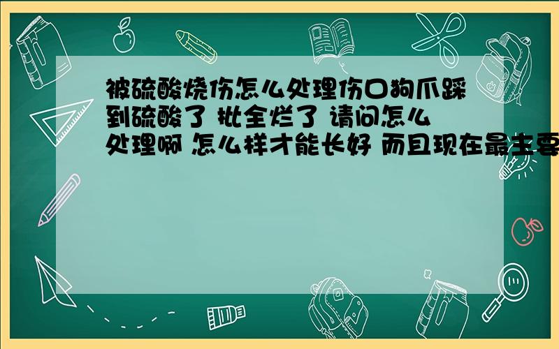 被硫酸烧伤怎么处理伤口狗爪踩到硫酸了 批全烂了 请问怎么处理啊 怎么样才能长好 而且现在最主要的 是怎么样预防发炎 现在是夏天