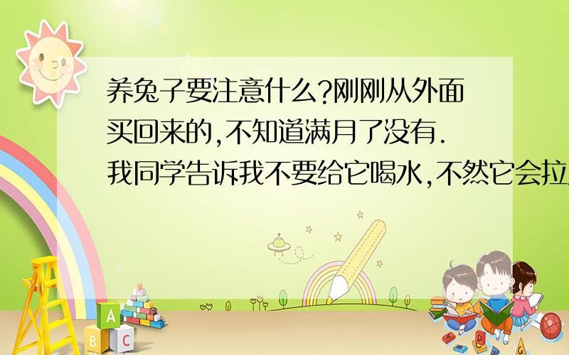 养兔子要注意什么?刚刚从外面买回来的,不知道满月了没有.我同学告诉我不要给它喝水,不然它会拉肚子.我给它吃的白菜叶和胡萝卜,但它好像不怎么喜欢吃胡萝卜.还有就是它要啃电线、啃书