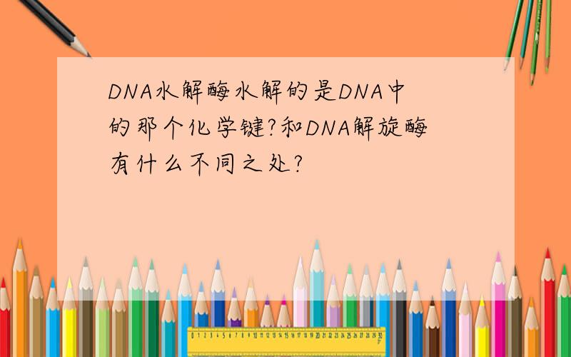 DNA水解酶水解的是DNA中的那个化学键?和DNA解旋酶有什么不同之处?