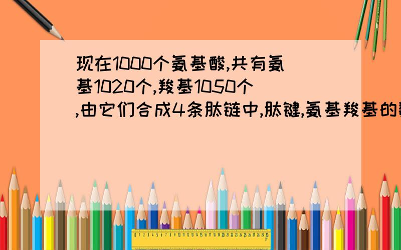 现在1000个氨基酸,共有氨基1020个,羧基1050个,由它们合成4条肽链中,肽键,氨基羧基的数目分别是（