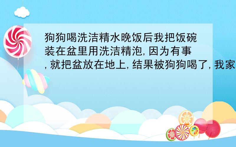 狗狗喝洗洁精水晚饭后我把饭碗装在盆里用洗洁精泡,因为有事,就把盆放在地上,结果被狗狗喝了,我家狗今天吐虫子了,狗狗才不到两个月,没驱过虫,吐完后,我给他吃了小孩吃的打虫药,不知道