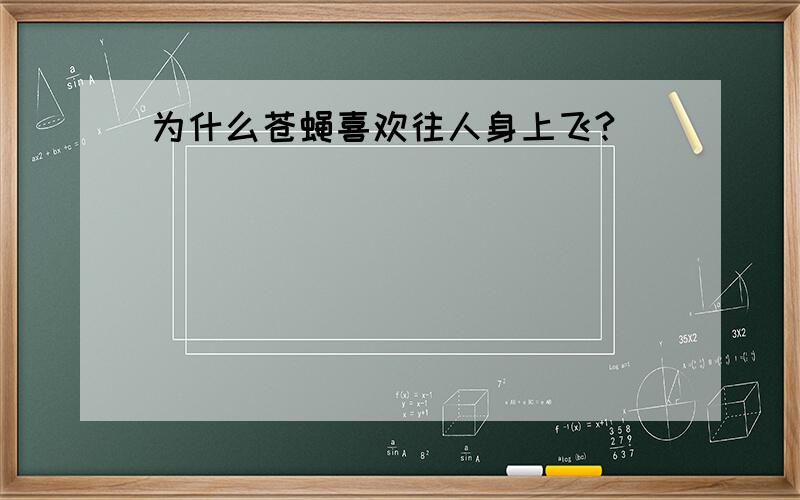 为什么苍蝇喜欢往人身上飞?