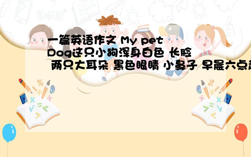 一篇英语作文 My pet Dog这只小狗浑身白色 长脸 两只大耳朵 黑色眼睛 小鼻子 早晨六点起 午餐肉和米饭 我们家人都非常喜欢他