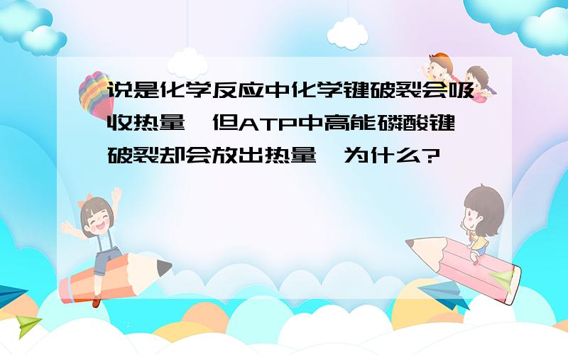 说是化学反应中化学键破裂会吸收热量,但ATP中高能磷酸键破裂却会放出热量,为什么?