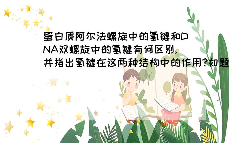 蛋白质阿尔法螺旋中的氢键和DNA双螺旋中的氢键有何区别,并指出氢键在这两种结构中的作用?如题