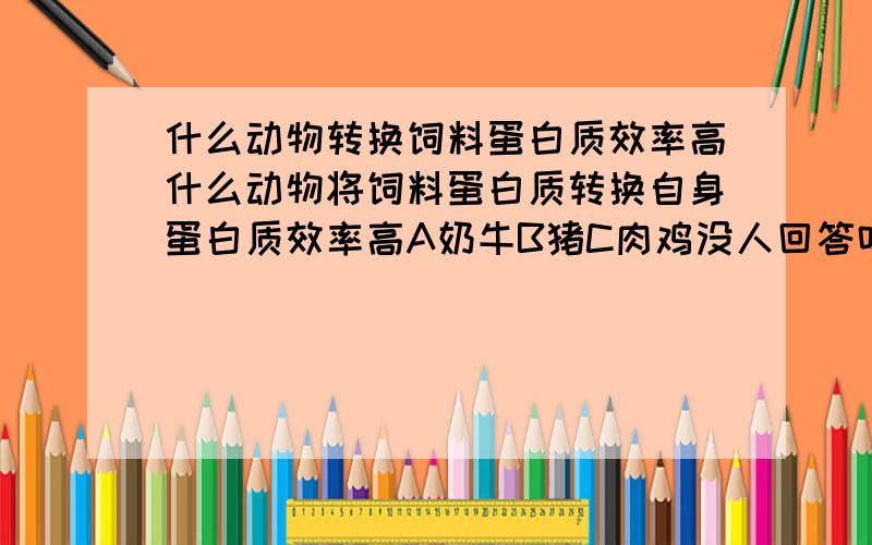 什么动物转换饲料蛋白质效率高什么动物将饲料蛋白质转换自身蛋白质效率高A奶牛B猪C肉鸡没人回答吗?kuai