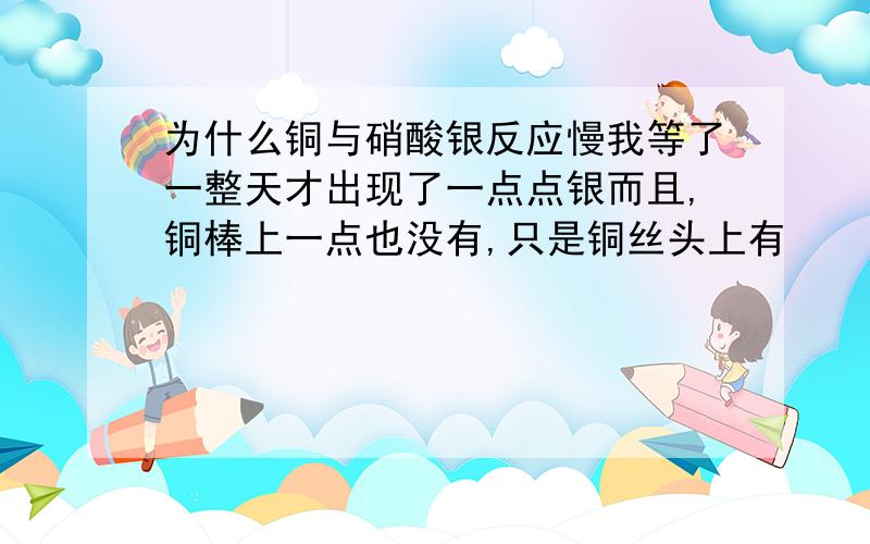 为什么铜与硝酸银反应慢我等了一整天才出现了一点点银而且,铜棒上一点也没有,只是铜丝头上有