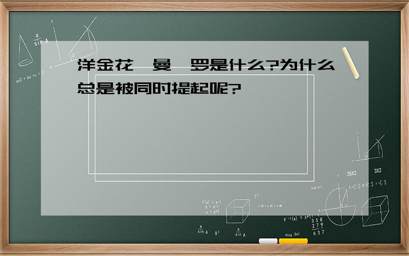 洋金花,曼陀罗是什么?为什么总是被同时提起呢?