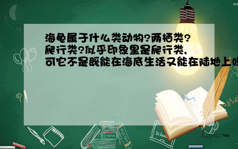 海龟属于什么类动物?两栖类?爬行类?似乎印象里是爬行类,可它不是既能在海底生活又能在陆地上吗?