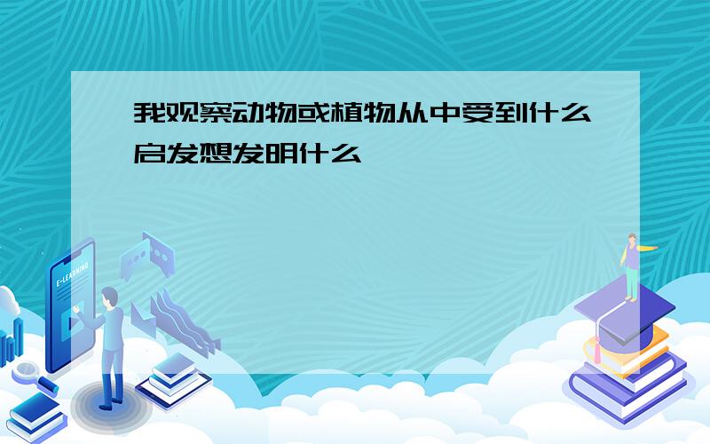 我观察动物或植物从中受到什么启发想发明什么