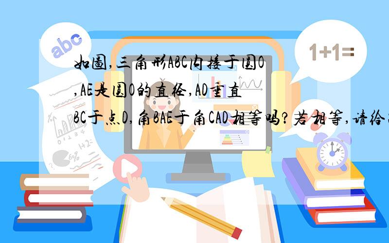 如图,三角形ABC内接于圆O,AE是圆O的直径,AD垂直BC于点D,角BAE于角CAD相等吗?若相等,请给出证明;若不相等,请说明理由.