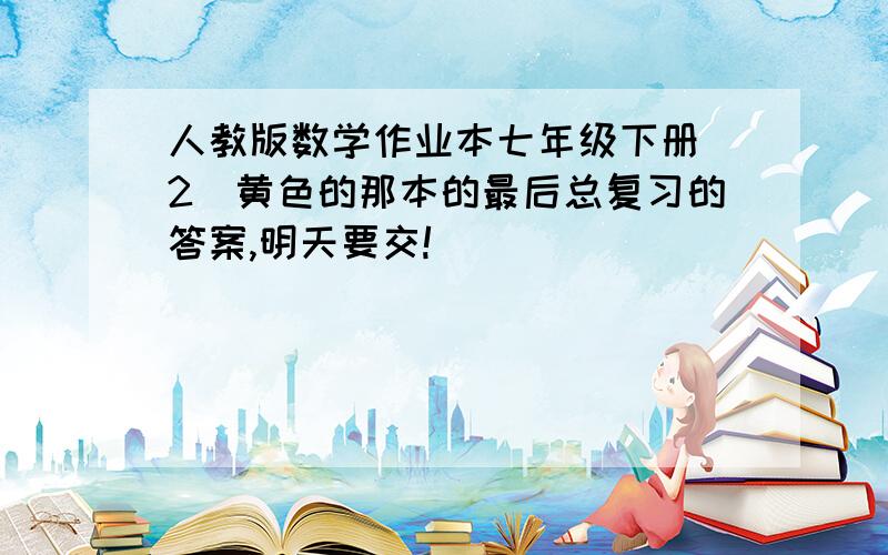 人教版数学作业本七年级下册(2)黄色的那本的最后总复习的答案,明天要交!