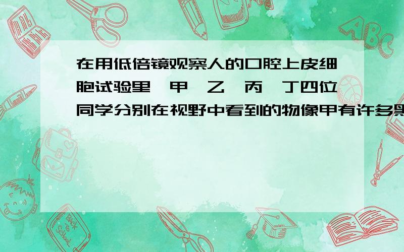 在用低倍镜观察人的口腔上皮细胞试验里,甲、乙、丙、丁四位同学分别在视野中看到的物像甲有许多黑色圆圈（应该是气泡太多）,乙很好,丙有些蝌蚪一样的黑的粗粗的,丁上有些脏,不太干