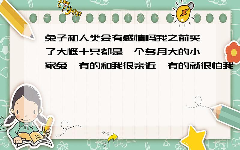 兔子和人类会有感情吗我之前买了大概十只都是一个多月大的小家兔,有的和我很亲近,有的就很怕我,不过最后活下来的两只都是比较怕我的.之后这两只兔子和生活了将近5个月,不过我始终没