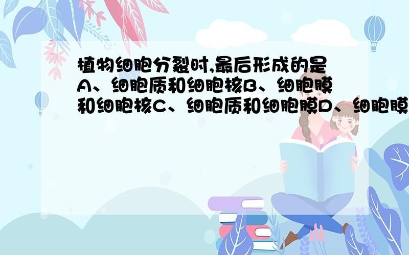 植物细胞分裂时,最后形成的是A、细胞质和细胞核B、细胞膜和细胞核C、细胞质和细胞膜D、细胞膜和细胞壁请选择一个正确的答案