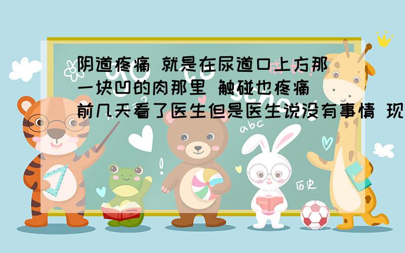 阴道疼痛 就是在尿道口上方那一块凹的肉那里 触碰也疼痛 前几天看了医生但是医生说没有事情 现在不知道是心理作用还是怎么回事 反正正常的坐姿不会疼 但是只要使劲往下坐 下面就会有