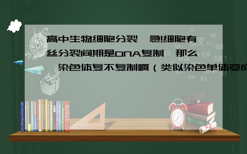 高中生物细胞分裂,急!细胞有丝分裂间期是DNA复制,那么,染色体复不复制啊（类似染色单体变成染色体）?体细胞图像最像有丝分裂哪个阶段的图像（不考虑DNA数目）