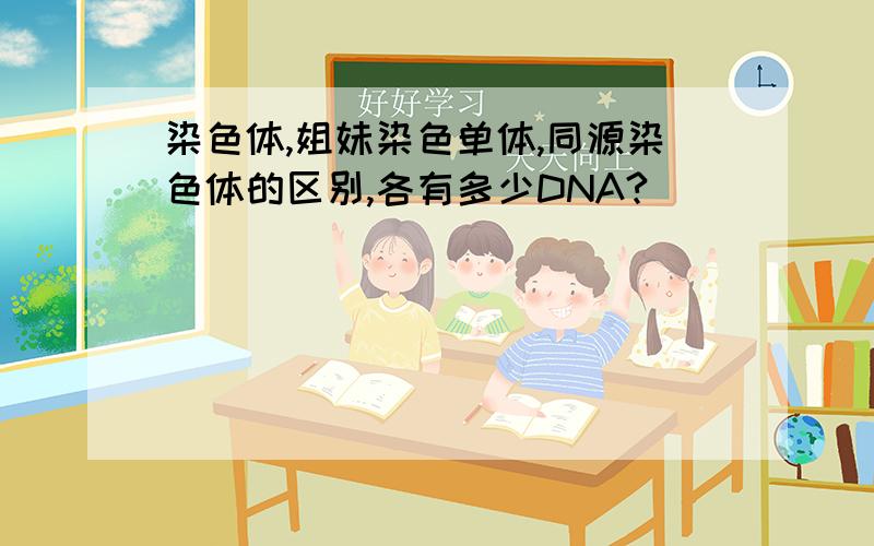 染色体,姐妹染色单体,同源染色体的区别,各有多少DNA?