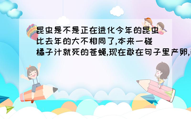 昆虫是不是正在进化今年的昆虫比去年的大不相同了,本来一碰橘子汁就死的苍蝇,现在敢在句子里产卵,而且咬到身上后的蚊子块也比去年的大了许多,体形也比去年大了许多.我想问的是昆虫