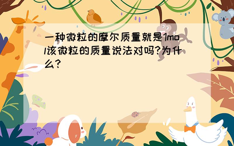 一种微粒的摩尔质量就是1mol该微粒的质量说法对吗?为什么?