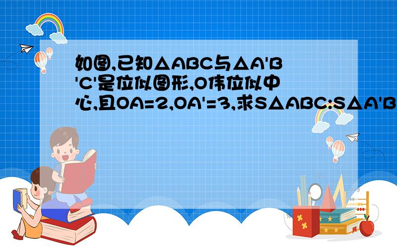 如图,已知△ABC与△A'B'C'是位似图形,O伟位似中心,且OA=2,OA'=3,求S△ABC:S△A'B'C’