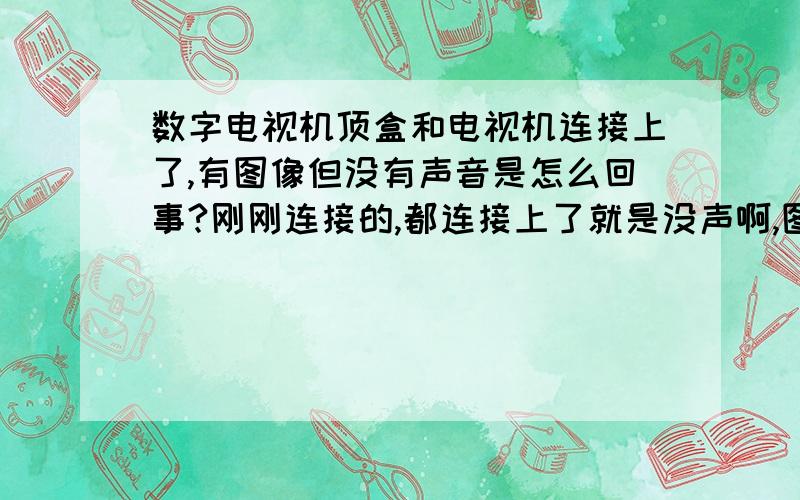 数字电视机顶盒和电视机连接上了,有图像但没有声音是怎么回事?刚刚连接的,都连接上了就是没声啊,图像都有.知道的告诉一下呵,