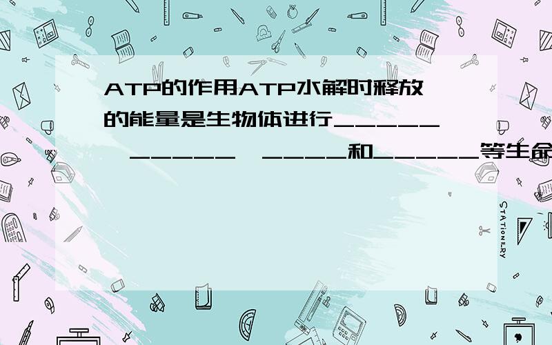 ATP的作用ATP水解时释放的能量是生物体进行_____,_____,____和_____等生命活动所需能量的_____.人体细胞中ATP和ADP的相互转化在生活细胞中是永不停息地进行着,这即可以避免一时用不尽的能量白白