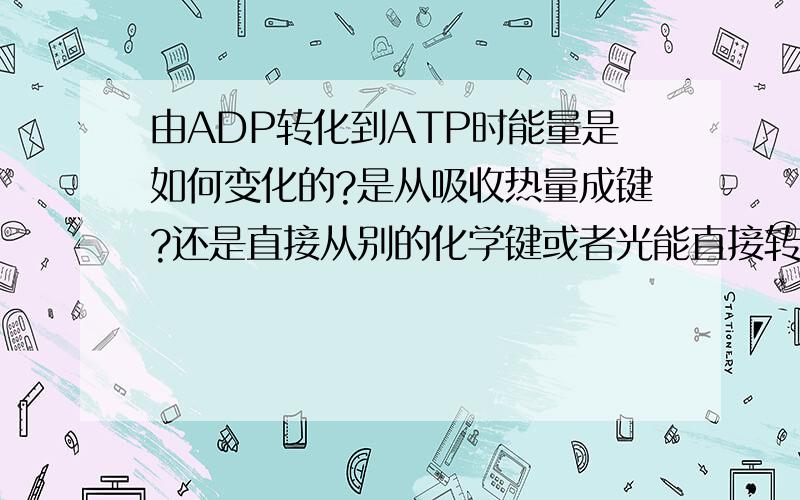 由ADP转化到ATP时能量是如何变化的?是从吸收热量成键?还是直接从别的化学键或者光能直接转化来?