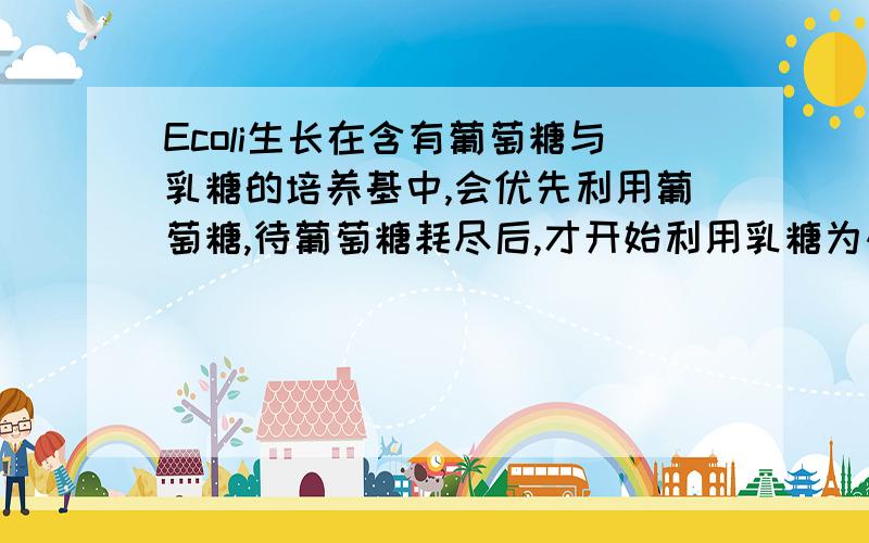 Ecoli生长在含有葡萄糖与乳糖的培养基中,会优先利用葡萄糖,待葡萄糖耗尽后,才开始利用乳糖为碳源生长,试解释这一现象.