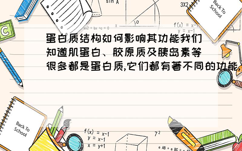 蛋白质结构如何影响其功能我们知道肌蛋白、胶原质及胰岛素等很多都是蛋白质,它们都有著不同的功能,然而蛋白质的结构如何允许不同功能呢?