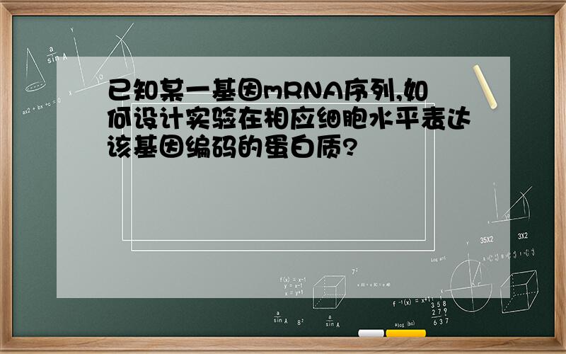 已知某一基因mRNA序列,如何设计实验在相应细胞水平表达该基因编码的蛋白质?