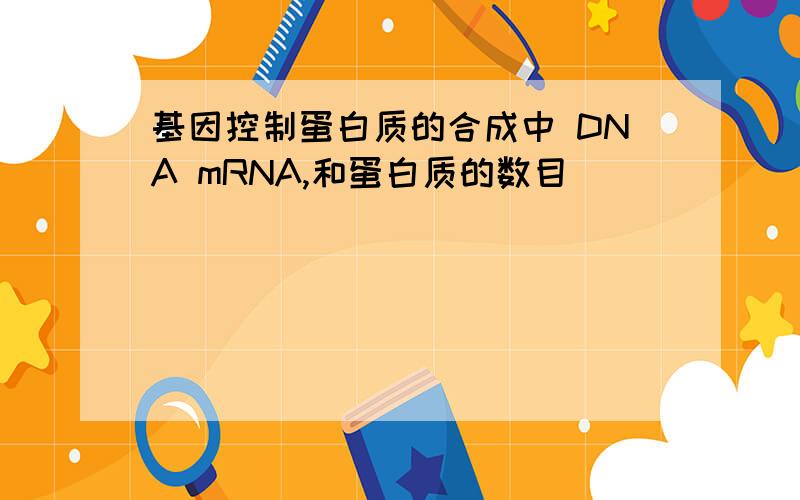 基因控制蛋白质的合成中 DNA mRNA,和蛋白质的数目