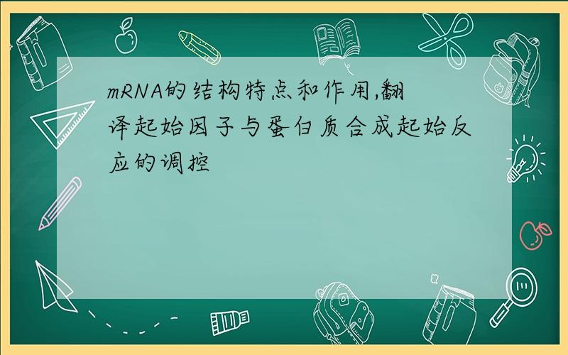 mRNA的结构特点和作用,翻译起始因子与蛋白质合成起始反应的调控