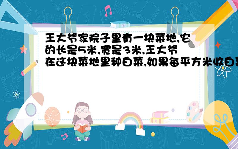 王大爷家院子里有一块菜地,它的长是5米,宽是3米,王大爷在这块菜地里种白菜,如果每平方米收白菜3千克,