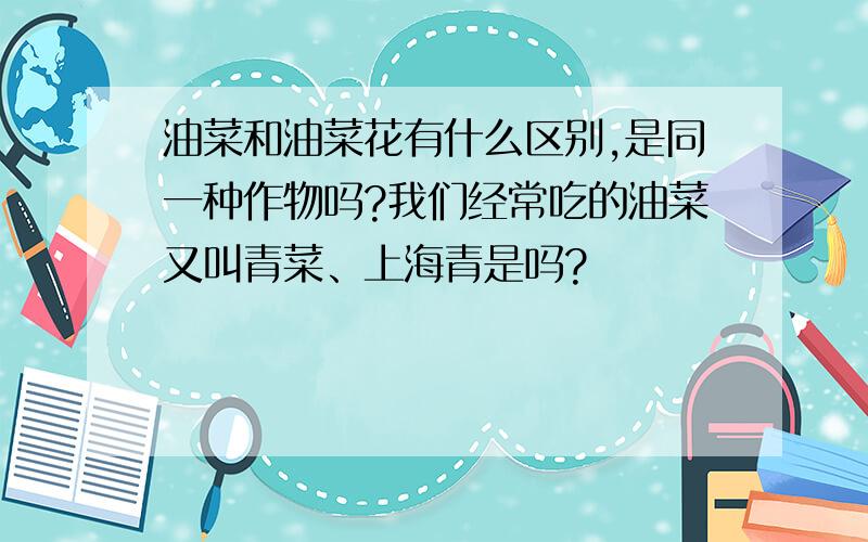 油菜和油菜花有什么区别,是同一种作物吗?我们经常吃的油菜又叫青菜、上海青是吗?