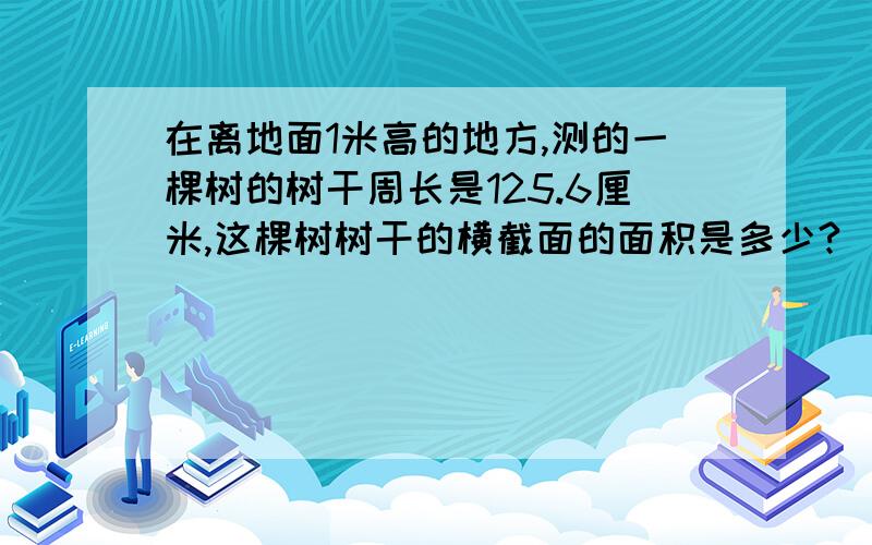 在离地面1米高的地方,测的一棵树的树干周长是125.6厘米,这棵树树干的横截面的面积是多少?