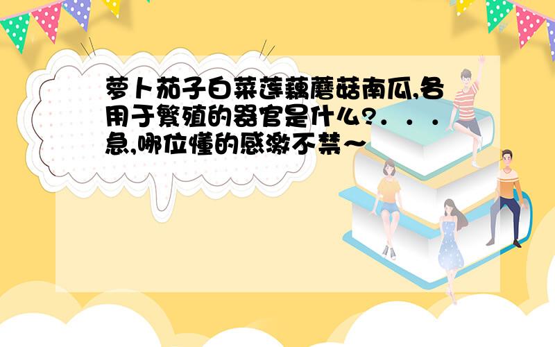 萝卜茄子白菜莲藕蘑菇南瓜,各用于繁殖的器官是什么?．．．急,哪位懂的感激不禁～