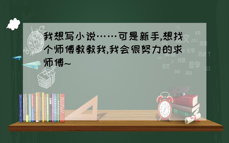 我想写小说……可是新手,想找个师傅教教我,我会很努力的求师傅~