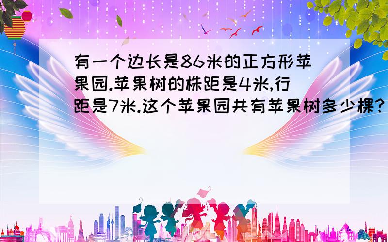 有一个边长是86米的正方形苹果园.苹果树的株距是4米,行距是7米.这个苹果园共有苹果树多少棵?