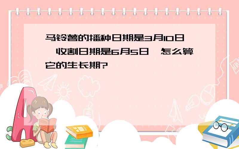 马铃薯的播种日期是3月10日,收割日期是6月5日,怎么算它的生长期?