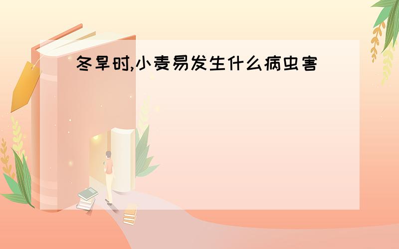 冬旱时,小麦易发生什么病虫害