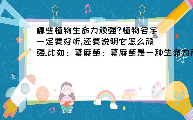 哪些植物生命力顽强?植物名字一定要好听,还要说明它怎么顽强.比如：荨麻草：荨麻草是一种生命力顽强的植物,不管受到多少风吹雨打,经历多少日晒雨淋,它都不会屈服.象征着一种生生不息