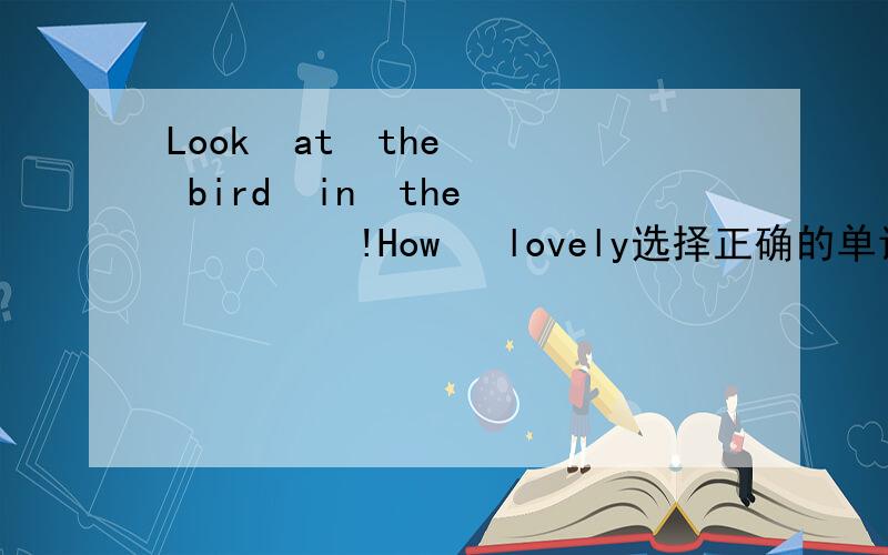 Look  at  the  bird  in  the         !How   lovely选择正确的单词完成句子.cage,question