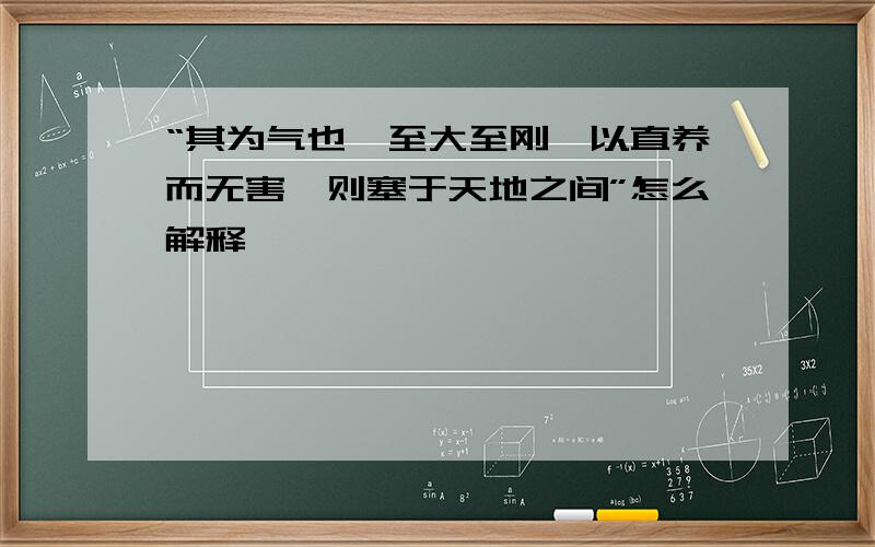 “其为气也,至大至刚,以直养而无害,则塞于天地之间”怎么解释